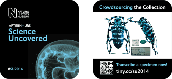 Transcribe a specimen beer mats